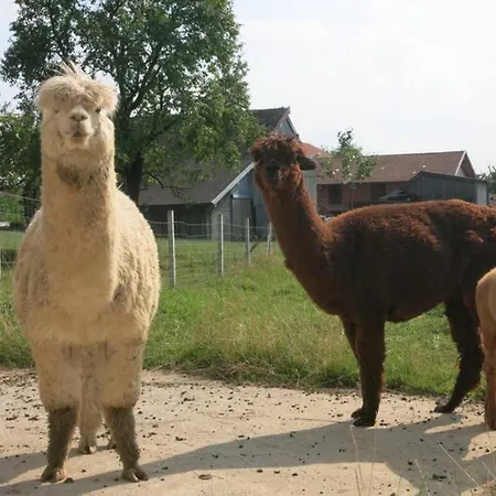 Appartamento Bergmann Burgkirchen an der Alz