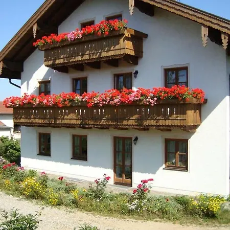 Bergmann *